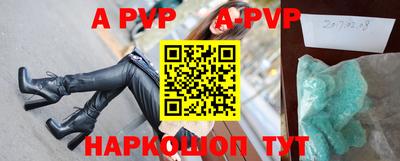 a pvp Кингисепп